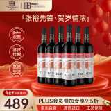 张裕先锋 世界之眼干红葡萄酒 乌迪尔产区 750ml*6 整箱装  进口红酒