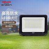 德力西（DELIXI）LED投光灯户外工厂农村庭院灯 IP65防水等级100W白光