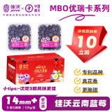 佳沃（joyvio）云南当季蓝莓MBO系列 14mm+中果 6盒礼盒装 约125g/盒 新鲜水果