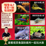 云峰海瑞清洁鱼活体热带鱼观赏鱼水族宠物工具鱼垃圾鱼老鼠鱼鱼缸除藻 鼠鱼全家福套餐C 共6条