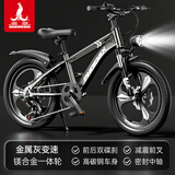 凤凰（Phoenix）儿童自行车6-12岁中大童男孩山地车青少年变速学生车单车小学生车 A6- 金属灰- 变速一体轮 22寸(适合身高140-160cm)