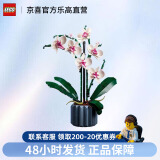 乐高（Lego）10311乐高兰花积木花儿童拼搭收藏玩具礼物