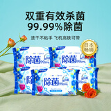 日风原装进口酒精消毒除菌抑菌杀菌湿巾亲肤儿童成人擦手清洁一次性 30片10包酒精除菌湿巾