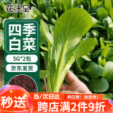 花沃里四季小白菜种子5g*2包  蔬菜种子速生菜种籽阳台盆栽土秋冬季叶菜