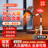 爱丽绅（AiLSEN）真明火无烟艾灸仪器一体机家用美容悬灸理疗熏蒸仪器具新年货礼物 黑色家庭版【明火无烟+升降折叠+红光+内循环滤烟】