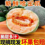 正宗新疆吐鲁番哈密瓜9斤新鲜水果一整箱西州蜜25号当季网纹瓜SS 9斤精选
