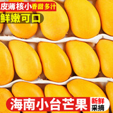 顾果鲜海南小台芒9斤新鲜应季当季热带时令水果小台农芒果整箱甜心芒 3斤净重2.8斤 【大果】