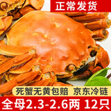 【活蟹】龙行大闸蟹现货公母六月黄鲜活螃蟹河蟹水产海鲜礼盒装 全母蟹2.3-2.6两  12只