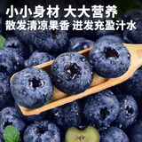 【JD/顺丰】云南高山蓝莓新鲜水果当季现摘2盒~6盒现摘鲜果整箱 中大果(果径18mm+) 2盒(总净重≥240g)