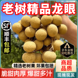三萌果蔬新鲜龙眼【多地隔日达】高州广东当季水果石峡储良龙眼送礼 精选【石峡龙眼】净2.5斤- 3斤 新鲜【老树龙眼】现摘现发
