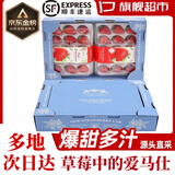 樱鲜多地次日达顺丰JD丹东99红颜牛奶奶油甜草莓新鲜水果年货送礼盒装 4盒 蓝色恋人【果王礼盒装】25-40g