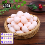 均鲜新鲜初生鸽子蛋宝宝鸽蛋杂粮喂养农家田园养殖特产信鸽蛋白鸽蛋 30枚 650g 左右精选鲜鸽蛋