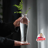 范爷家玻璃花瓶高级感摆件轻奢餐桌客厅新中式禅意水养观音瓶透明花器