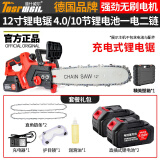 道什威尔（TOSRWELL）德国大功率锂电锯电链锯家用油锯木工果园修枝电锯伐木锯电动农具 【高端款】10节二电二链
