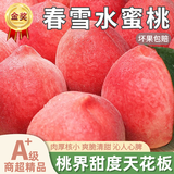 骑猴赶马河北春雪水蜜桃新鲜桃子当季水果送礼整箱现摘脆甜水蜜桃软毛桃 净重2斤尝鲜装 【单果150g+】
