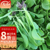 寿禾 20天鸡毛菜种子四季小青菜春季蔬菜小白菜油菜上海青阳台菜籽 长菘不老菜鸡毛菜种子约3千粒