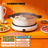 小米（MI） 米家电磁炉青春版家用双频迷你型火锅汤锅火力智能温控灶组合套装 鸳鸯锅