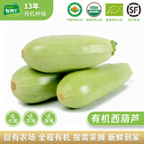 有机汇有机西葫芦 茭瓜节瓜新鲜蔬菜宝宝辅食 有机种植无农残 现摘现发 250g