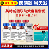 英特威狗狗疫苗四联疫苗二联疫苗狂犬疫苗自打小狗疫苗宠必威套餐针 【幼犬套餐】四联3针+狂犬1针