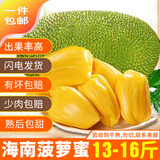 禧友鲜 海南菠萝蜜整个新鲜水果 黄肉干苞 三亚新现摘波罗蜜 顺丰可选 【尝鲜福利价】13-16斤小果尝鲜