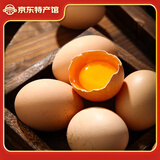 神农游  新鲜农家谷物散养鸡蛋50g 10枚
