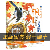神笔马良小雏菊丛书洪汛涛著长江少年儿童出版社沙滩上的童话枫树上的喜鹊埃米尔擒贼记小灵通漫游未来-奇怪的船 小灵通漫游未来-魔术工厂注音版 《枫树上的喜鹊》+彩印导读单