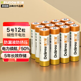 德力普（Delipow）5号电池12粒 碱性干电池五号适用血糖血氧仪/耳温枪/无线鼠标/遥控器/血压计/体重秤/挂钟/玩具等