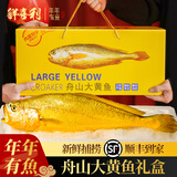 鲜喜利舟山大黄鱼礼盒深海黄花鱼鲜活冷冻生鲜海鲜年货礼包新鲜水产商用 4条礼盒装（每条约1.2-1.4斤）