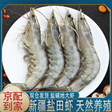 京逸新疆淡水养殖大虾盐田大虾本地养殖气冻盐碱地淡水大虾 （中号）4斤 0g(净重)