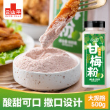 云山半甘梅粉500g甘梅撒粉梅子粉调味料薯条地瓜鸡排小吃甘莓粉撒料