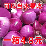 限时特惠】山东洋葱葱紫皮红皮洋葱现挖圆葱头正宗大果紫洋葱新鲜 限时钜惠：速抢//带箱 5斤 -大果