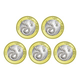 金永恒 2025年蛇年纪念币纪念钞 第二轮生肖纪念币 蛇钞贺岁币 蛇币5枚 带小圆盒