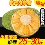 鲜贡园海南黄肉菠萝蜜25-30斤一整个新鲜当季热带木波罗蜜生鲜水果