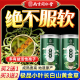 南同四海南京同仁堂肾经草50g嗷嗷叫黄金草搭特野外生肾精茶级化石草泡水