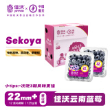 佳沃（joyvio）云南蓝莓sekoya系列 巨无霸22mm+ 12盒原箱 约125g/盒 水果礼盒 