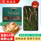 水长东鲜野山参2-3支装50g滋补礼盒16年长白山人参现挖鲜参源头直发包邮