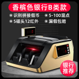 融正新款点钞机支持2025新版人民币新旧混点合计金额语音银行专用B类商用家用验钞机小型便携式充电款 香槟色【银行推荐】B类插电使用