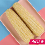 【店长推荐】甜糯玉米新鲜粘糯米玉米棒嫩黏非转基因装8条 小白8条