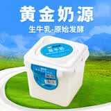 西域春【新疆直发】新疆西域春原味桶装酸牛奶大桶全脂风味水果捞发酵乳 西域春2KG桶