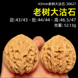 山中玉【一物六图】文玩核桃狮子头手把件青皮老树王勇盘玩生日礼物男 43mm老树大沽石-30627