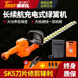 道什威尔（TOSRWELL）电动绿篱机充电绿篱修剪机篱笆剪园林绿化剪茶机茶叶修枝电动农具 【极速款】24V双刃+20A锂电池
