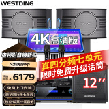 威斯汀（WESTDING）【销售第一】家庭ktv音响套装唱歌全套设备家庭影院家用卡拉ok点歌机一体机音箱 【10英寸四分频雷霆动感版】+12吋低音炮