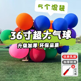 酷依宝36寸超大气球生日场景布置5只加厚防爆儿童秋游公园草地气球玩具