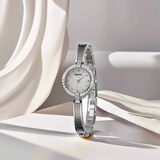 雷欧时雷欧时2025新款法国十大品牌女表女表小表盘手链表链条手镯手表女 白壳白带白面【贝壳面】 23mm