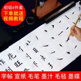 中宣堂（zhongxuantang） 楷书毛笔字帖入门临摹宣纸笔划偏旁大号楷书练习120张文房套装 初级6件套（字帖+空白米字格+笔墨毡碟）