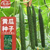 寿禾 旱黄瓜种子强雌籽种各种水果青瓜秋季四季蔬菜寿光种籽 中寿四号大黄瓜种子5g约100粒