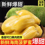 亿喜农海南黄肉菠萝蜜新鲜水果干苞果肉大树菠萝蜜一整个热带水果 净重15-20斤【老树精选】