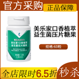 美乐家护欣宜纳豆栀子益生菌思倍佳然倍速绿茶压片糖果正品直购 口香植萃益生菌压片糖果