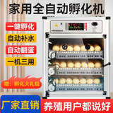 阔爱厨具孵化器全自动家用型芦丁鸡孵化机鸭鹅鸽孵化箱智能小型孵蛋器 68枚单电源丨自动翻蛋+补水