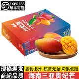 译优农海南三亚贵妃芒新鲜芒果当季现摘红金龙甜心芒孕妇水果礼盒 净重5斤精选中果